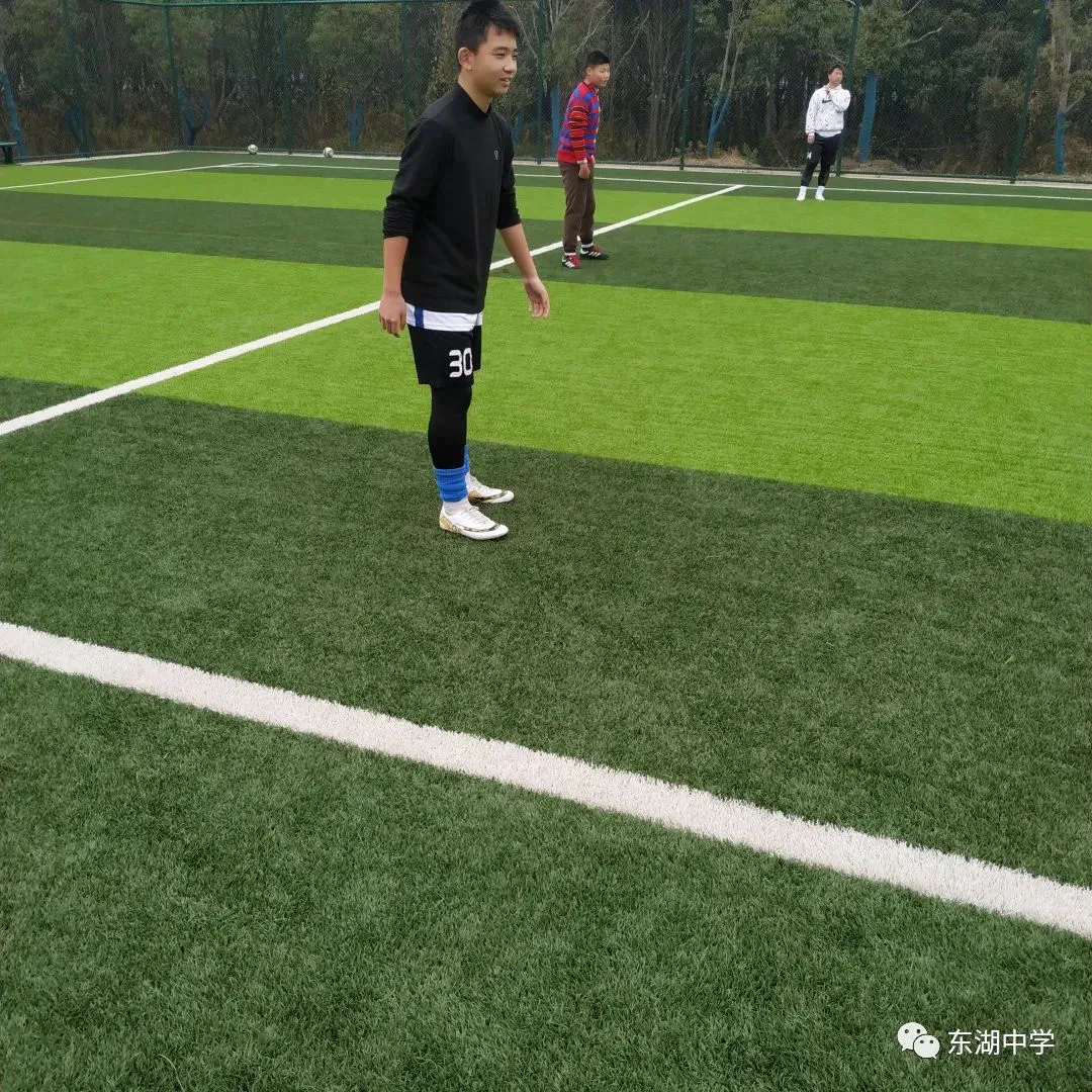 为什么篮球训练中需要多样化的策略_0